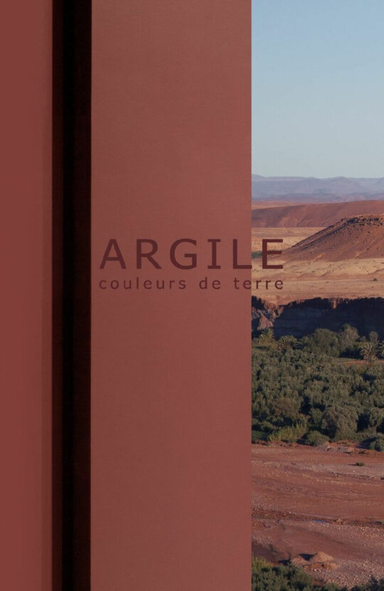 3 1 1 How a French decorator created harmonious natural shades, a captivating world of elegance.
