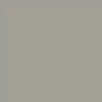 Interior paint Paint & Paper Library color grey BARBICAN (249).