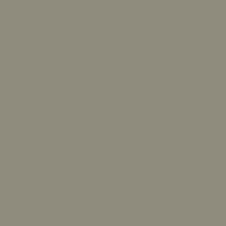 Interior paint Paint & Paper Library color grey SHARKSKIN (168).