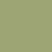 Interior paint Paint & Paper Library color green CHELSEA GREEN II (549).
