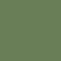 Interior paint Paint & Paper Library color green APPLE SMILES II (570).