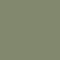 Interior paint Paint & Paper Library color green SENCHA (569).