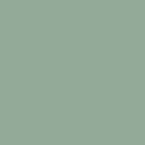 Interior paint Paint & Paper Library color green SALVIA (596).