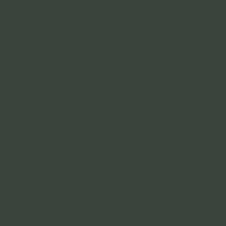 Interior paint Paint & Paper Library color dark STABLE GREEN (554).