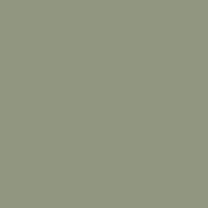 Interior paint Paint & Paper Library color green GREENBACK (579).