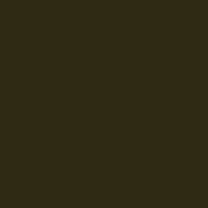 Interior paint Little Greene color black Invisible Green (56).