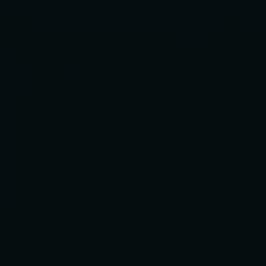 Interior paint Little Greene color black Jack Black (119).