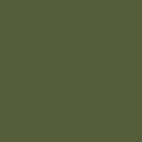 Interior paint Little Greene color green Jewel Beetle (303).