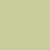 Interior paint Little Greene color green Kitchen Green (85).