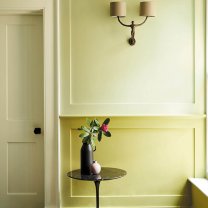 Interior paint Little Greene  Pique (299).