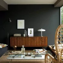 Interior paint Little Greene color black Obsidian Green (216).