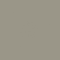 Interior paint Paint & Paper Library color grey MOLESKIN (218).