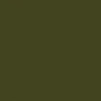 Interior paint Little Greene color green Olive Colour (72).