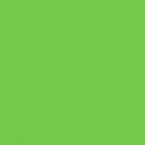 Interior paint Little Greene color green Phthalo Green (199).