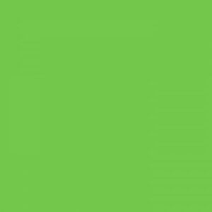 Interior paint Little Greene color green Phthalo Green (199).