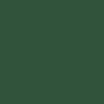 Interior paint Little Greene color green Puck (298).