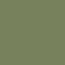 Interior paint Little Greene color green Sage Green (80).