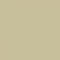 Interior paint Little Greene  Stone-Dark-Cool (67).