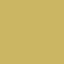 Interior paint Argile color yellow Jaune d’islande (T613).