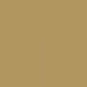 Interior paint Argile color yellow Jaune de verone (T624).