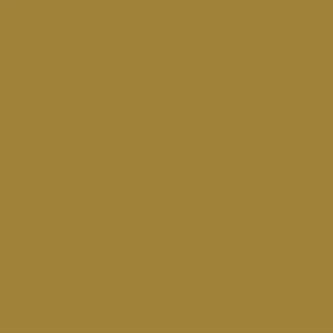 Interior paint Argile color yellow Jaune indien (T644).