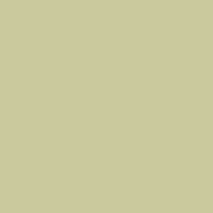 Interior paint Argile color green Constantine (T712).