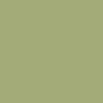 Interior paint Argile color green Inca (T713).