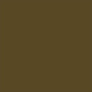 Interior paint Argile color brown Brun cepe (V05).