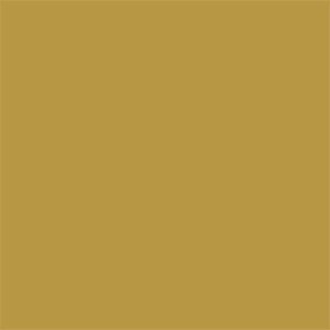 Interior paint Argile color yellow Jaune platane (V06).