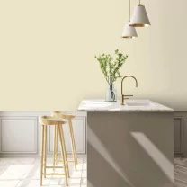 Interior paint Little Greene color neutral Silent White Deep (331).