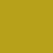 Interior paint Argile color yellow Ginko (V24).