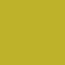 Interior paint Argile color yellow Colza (V36).