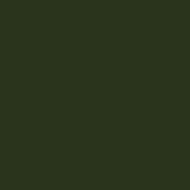 Interior paint Little Greene color green Dark Bronze Green (120).