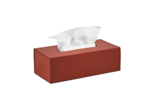 Interior paint ADJ Napkin holder.