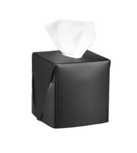 Interior paint ADJ Napkin holder.