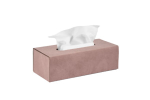 Interior paint ADJ Napkin holder.
