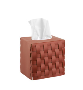 Interior paint ADJ Napkin holder.