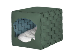 Interior paint ADJ Cat house.